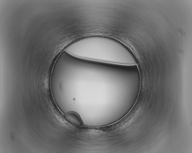 X0000112820393200908211004