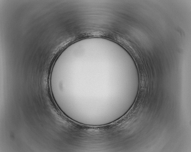 X0000112820394200908211004