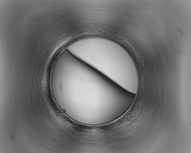 X0000112820396200908211004