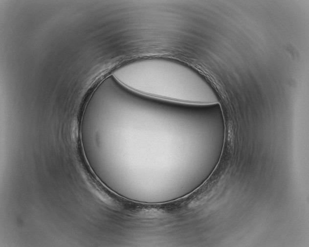 X0000112820397200908211004