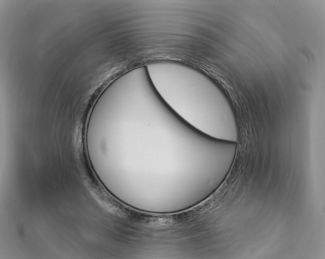 X0000112820398200908211004