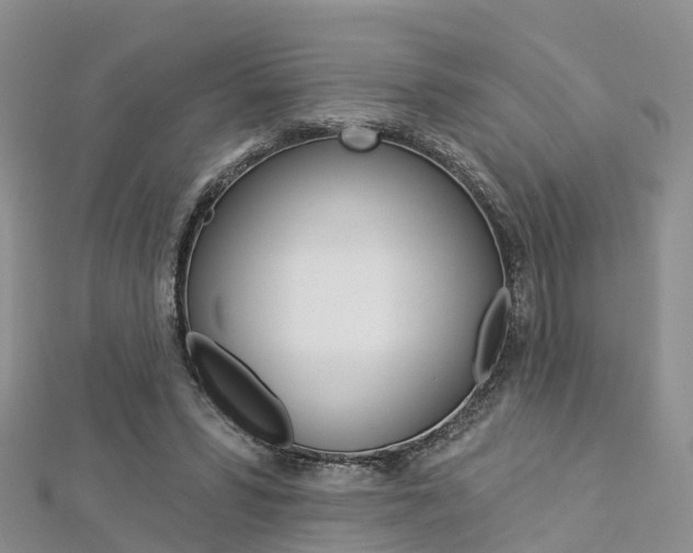 X0000112820399200908211004