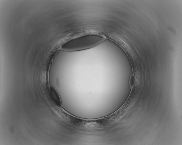 X0000112820401200908211004