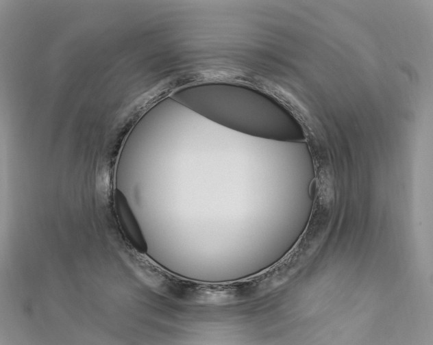 X0000112820405200908211004