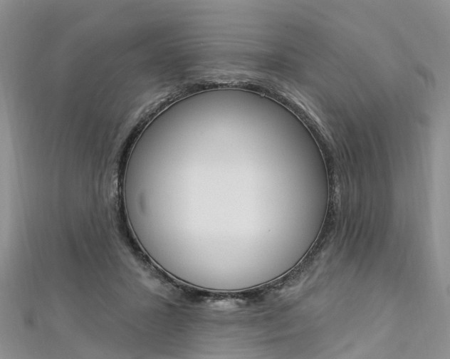 X0000112820407200908211004