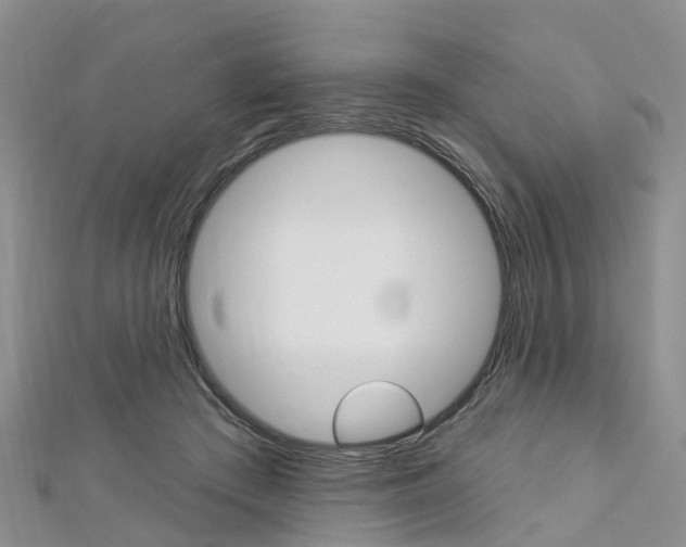 X0000112820409200908211004