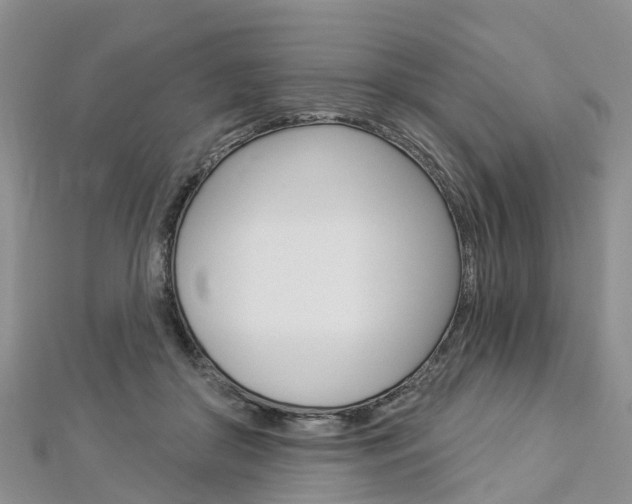 X0000112820410200908211004