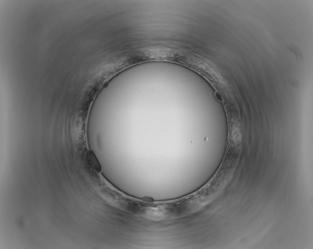 X0000112820411200908211004