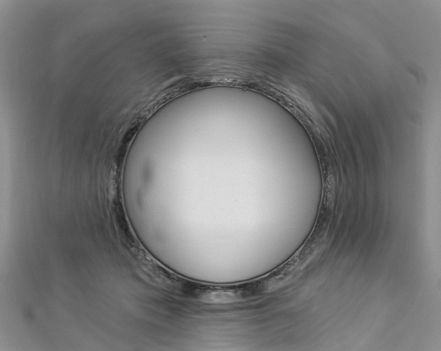 X0000112820413200908211004