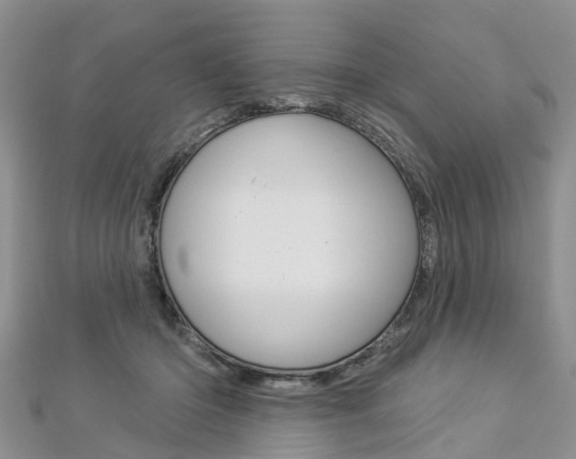 X0000112820414200908211004