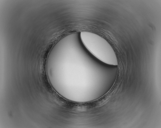 X0000112820416200908211004
