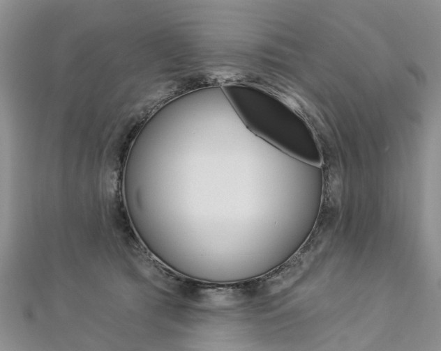X0000112820417200908211004