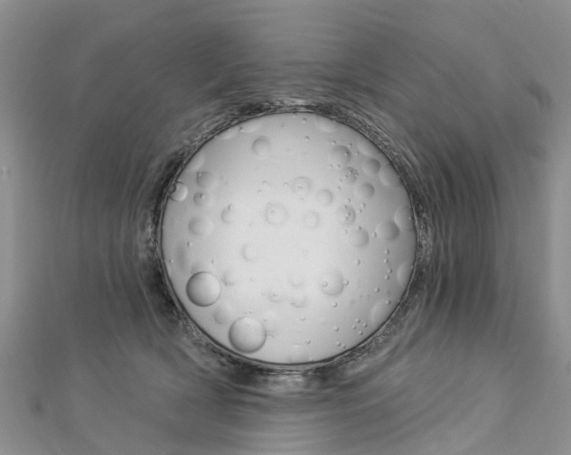 X0000112820418200908211004