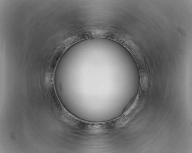 X0000112820419200908211004