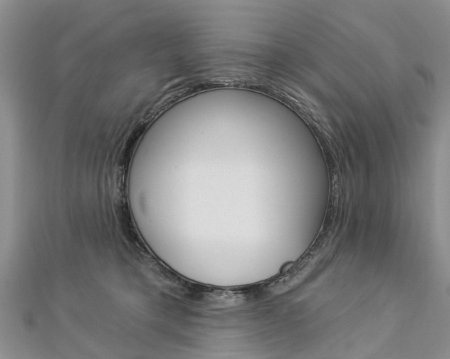 X0000112820421200908211004