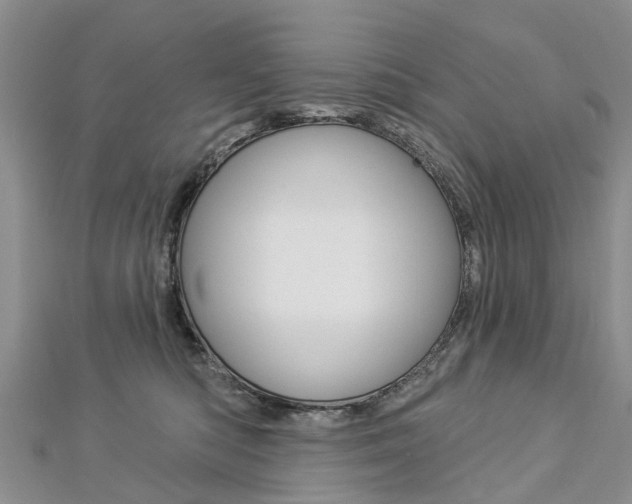X0000112820422200908211004