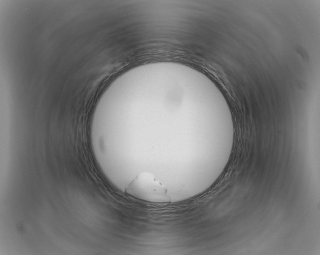 X0000112820423200908211004