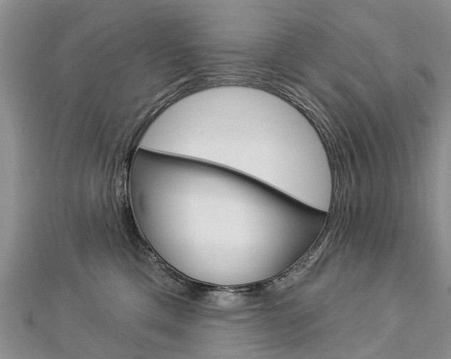 X0000112820425200908211004