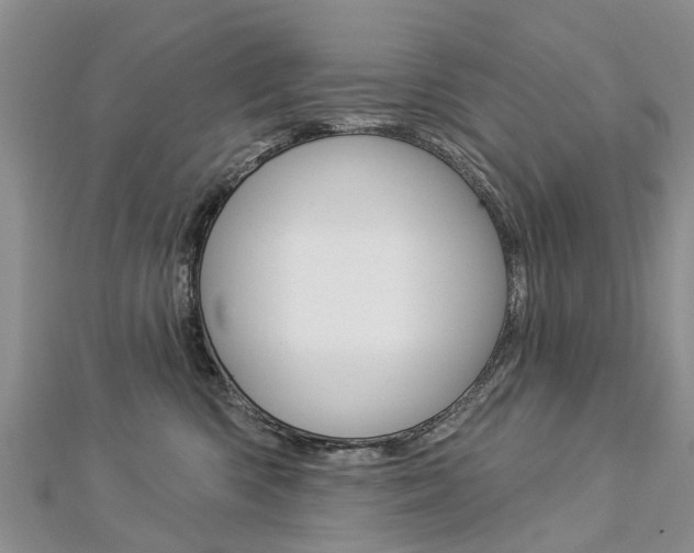 X0000112820426200908211004