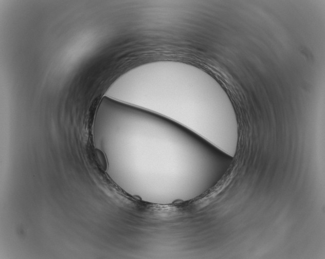 X0000112820429200908211004