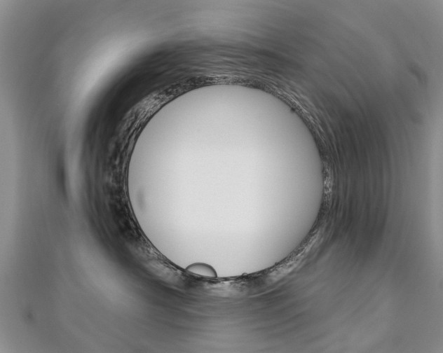 X0000112820430200908211004