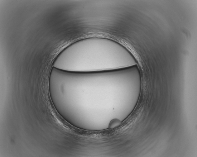 X0000112820433200908211003
