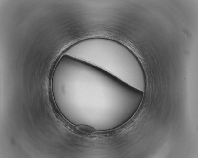 X0000112820434200908211003