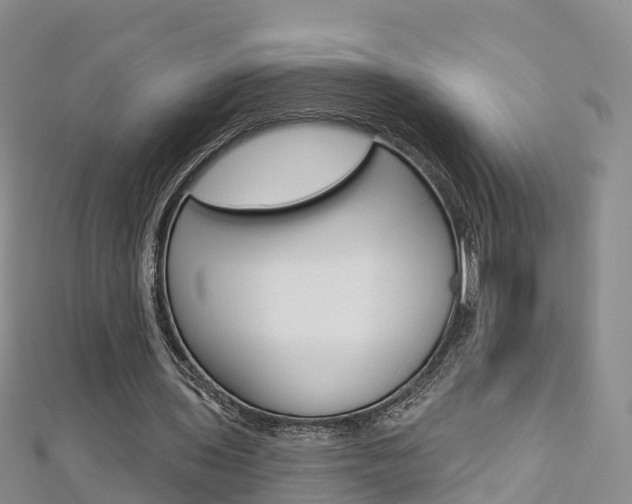 X0000112820435200908211003