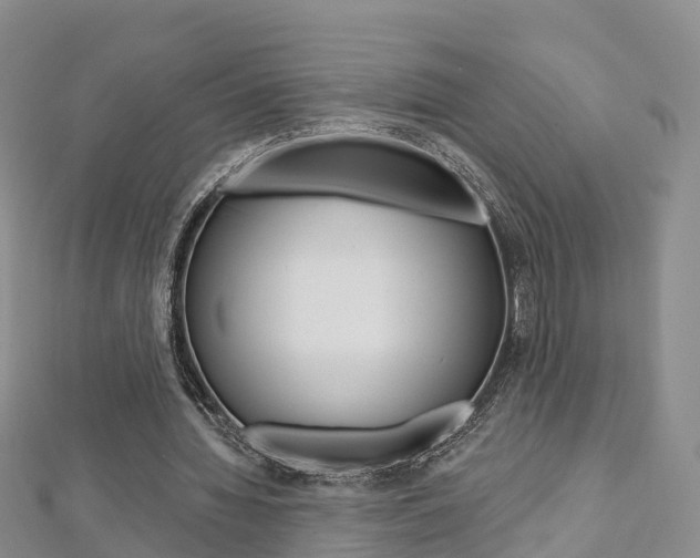 X0000112820436200908211003