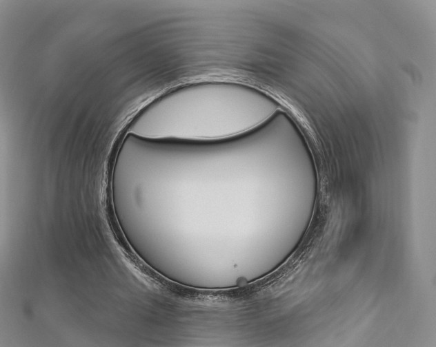 X0000112820437200908211003