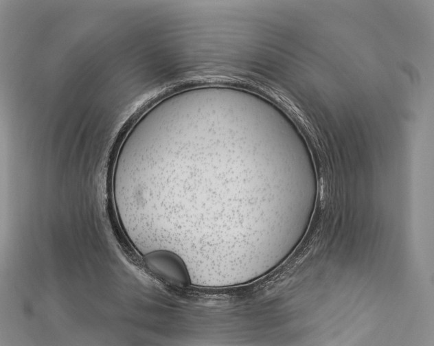 X0000112820438200908211003