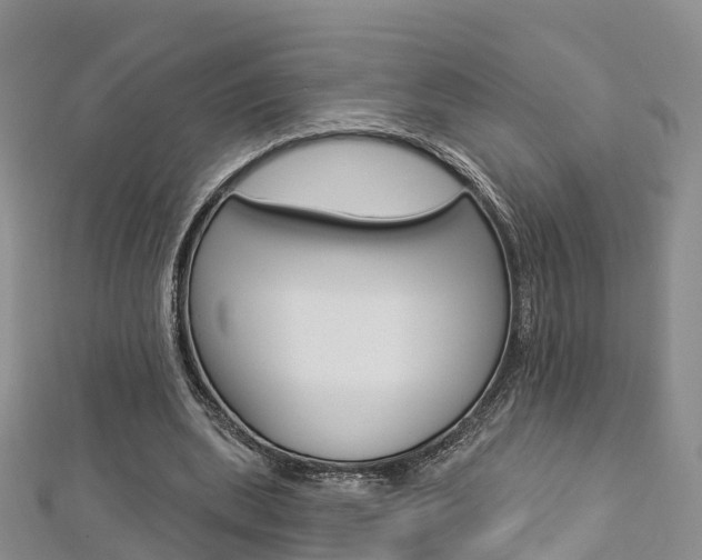 X0000112820439200908211003