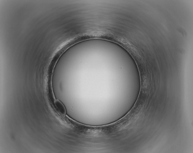 X0000112820440200908211003