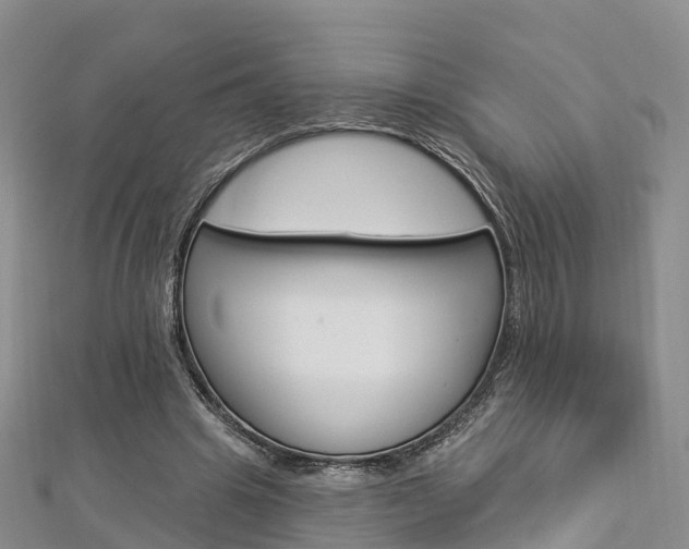 X0000112820441200908211003