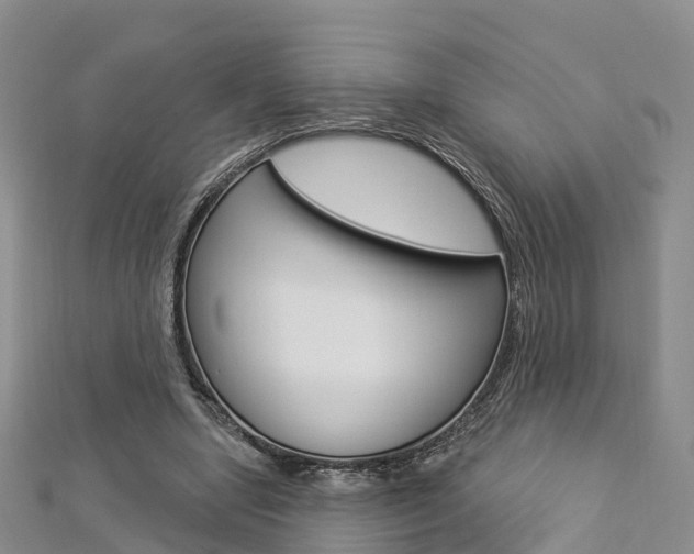 X0000112820442200908211003
