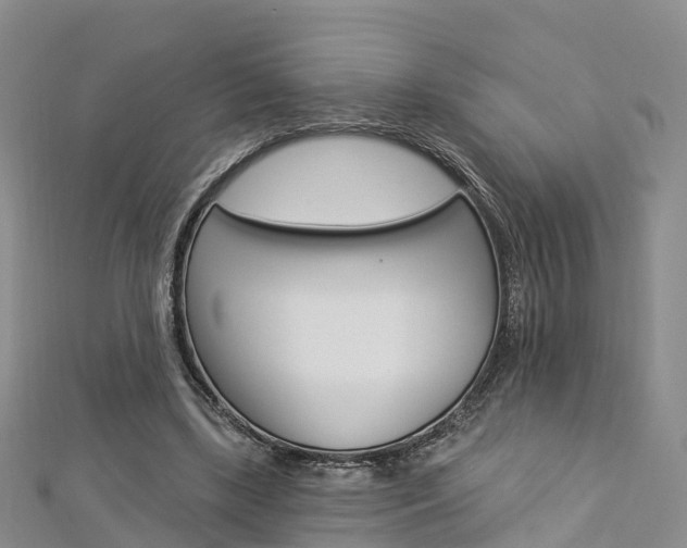X0000112820443200908211003