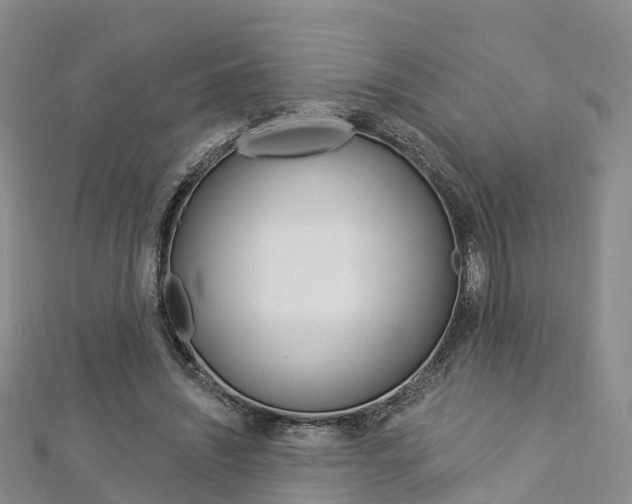 X0000112820444200908211003
