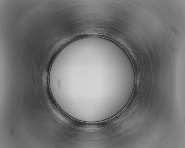 X0000112820445200908211003