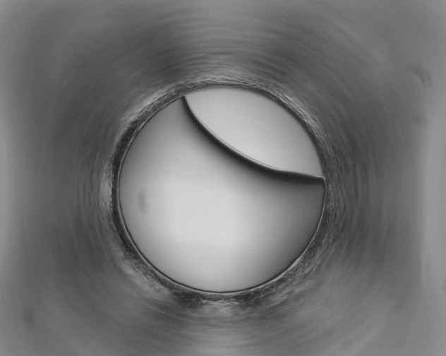 X0000112820446200908211003
