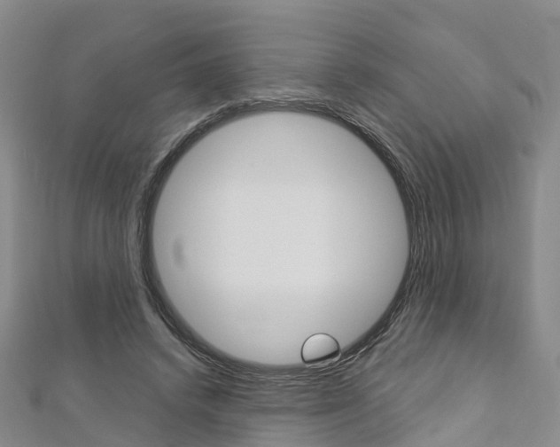 X0000112820448200908211003