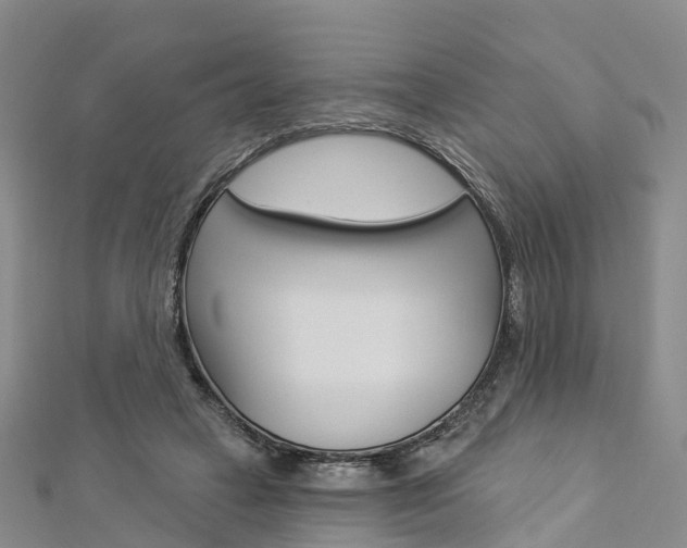 X0000112820449200908211003