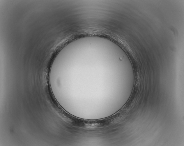 X0000112820450200908211003
