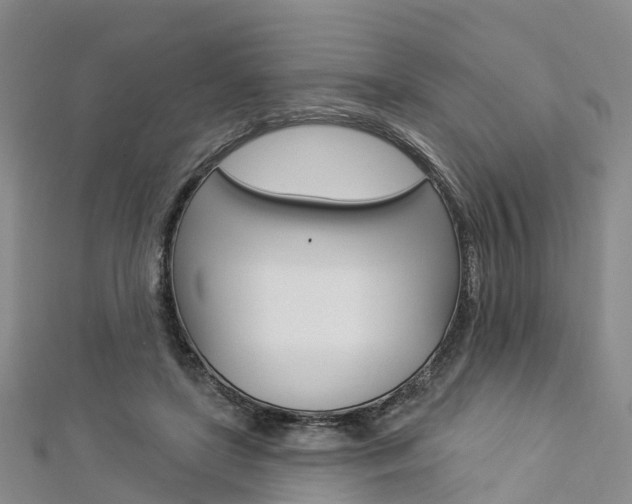 X0000112820451200908211003