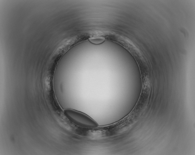 X0000112820452200908211003