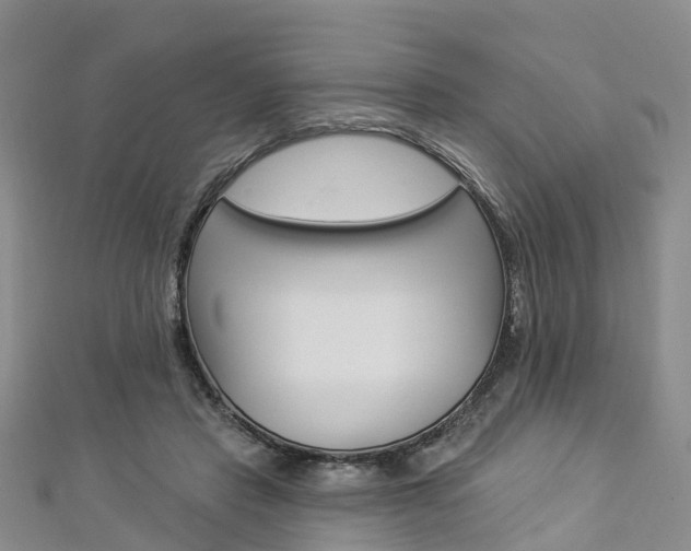 X0000112820453200908211003