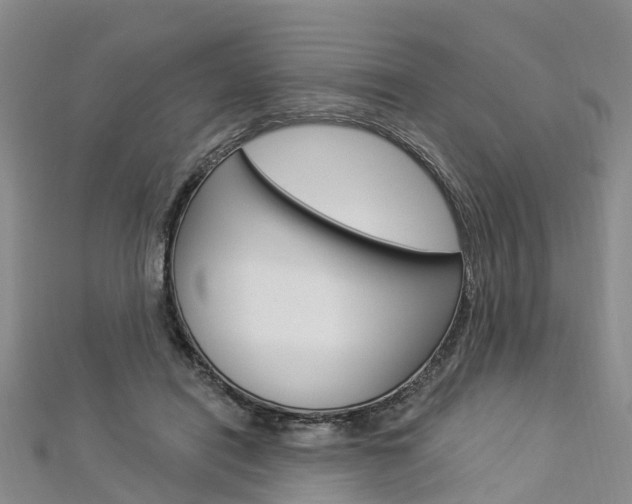 X0000112820454200908211003