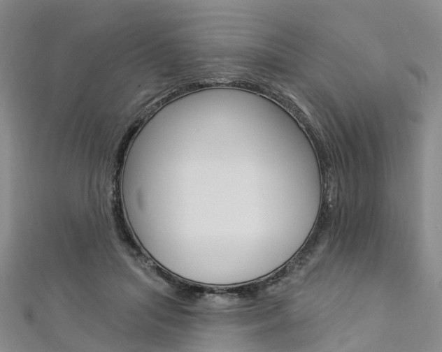 X0000112820455200908211003