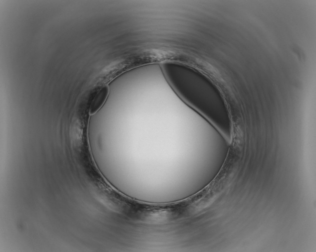 X0000112820456200908211003
