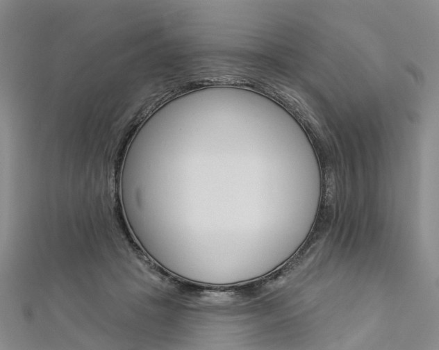 X0000112820457200908211003