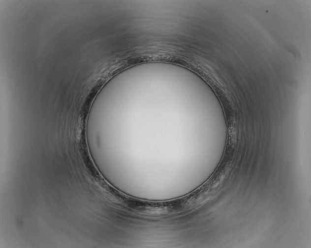 X0000112820458200908211003